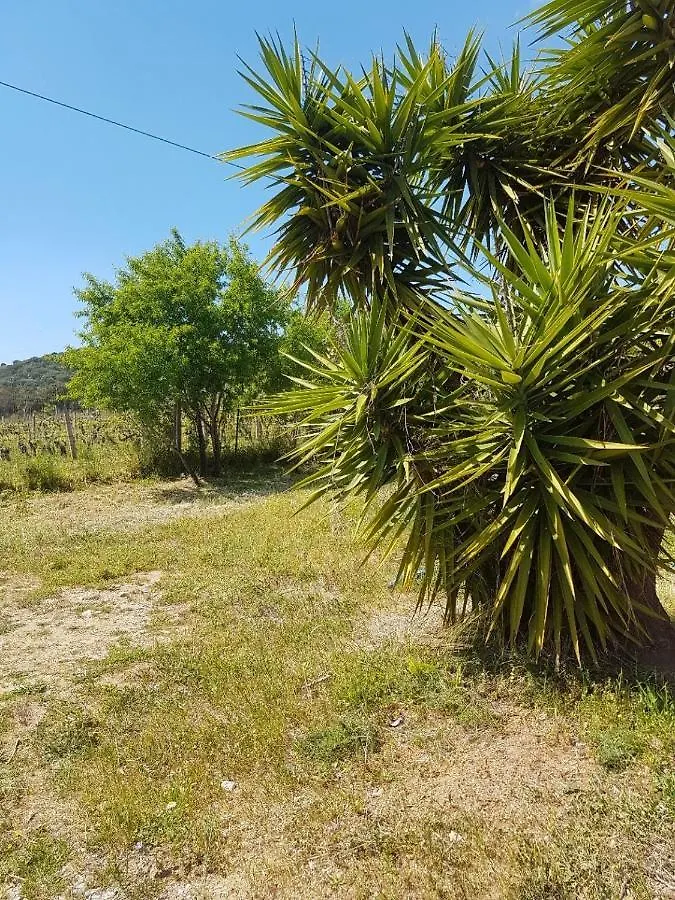 Chalet Sardegna Villa Bari Sardo
